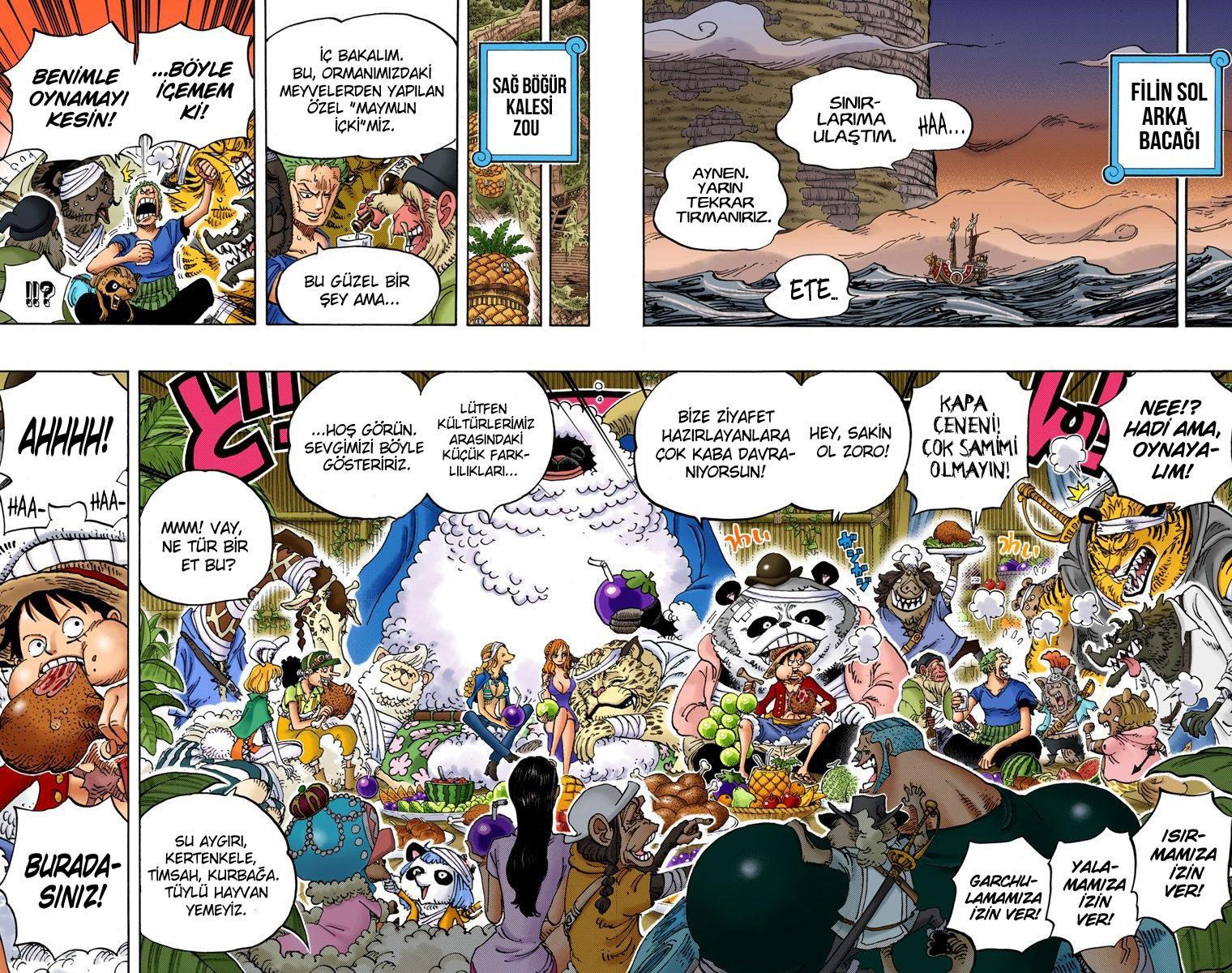 One Piece [Renkli] mangasının 807 bölümünün 3. sayfasını okuyorsunuz.
