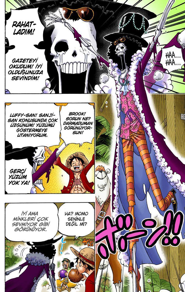 One Piece [Renkli] mangasının 807 bölümünün 4. sayfasını okuyorsunuz.