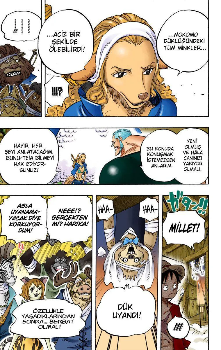 One Piece [Renkli] - Sayfa 13