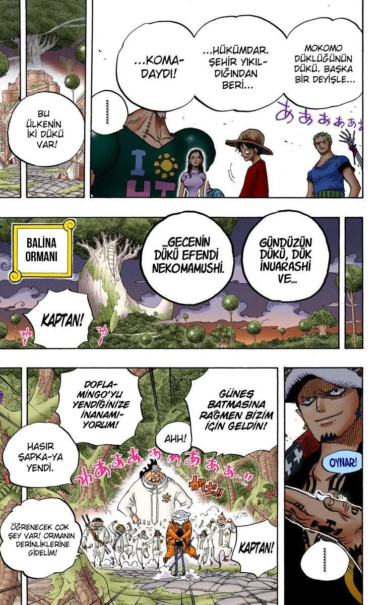 One Piece [Renkli] - Sayfa 15