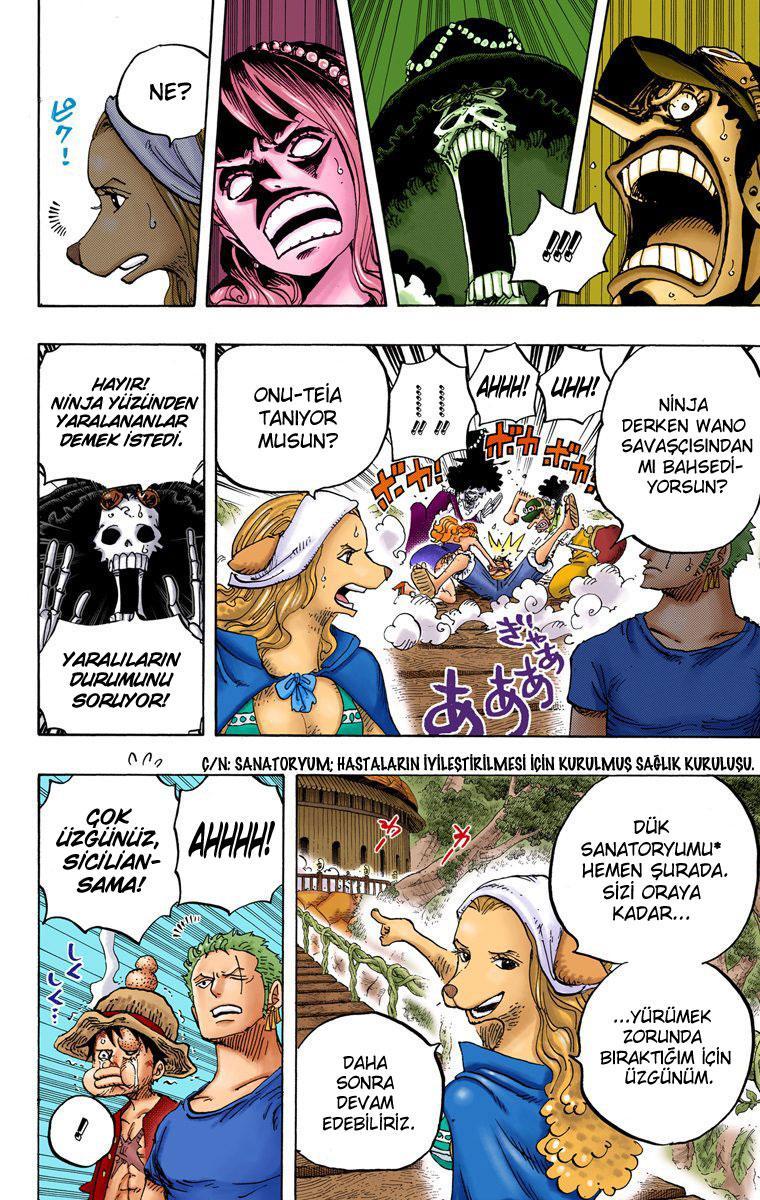 One Piece [Renkli] mangasının 808 bölümünün 12. sayfasını okuyorsunuz.