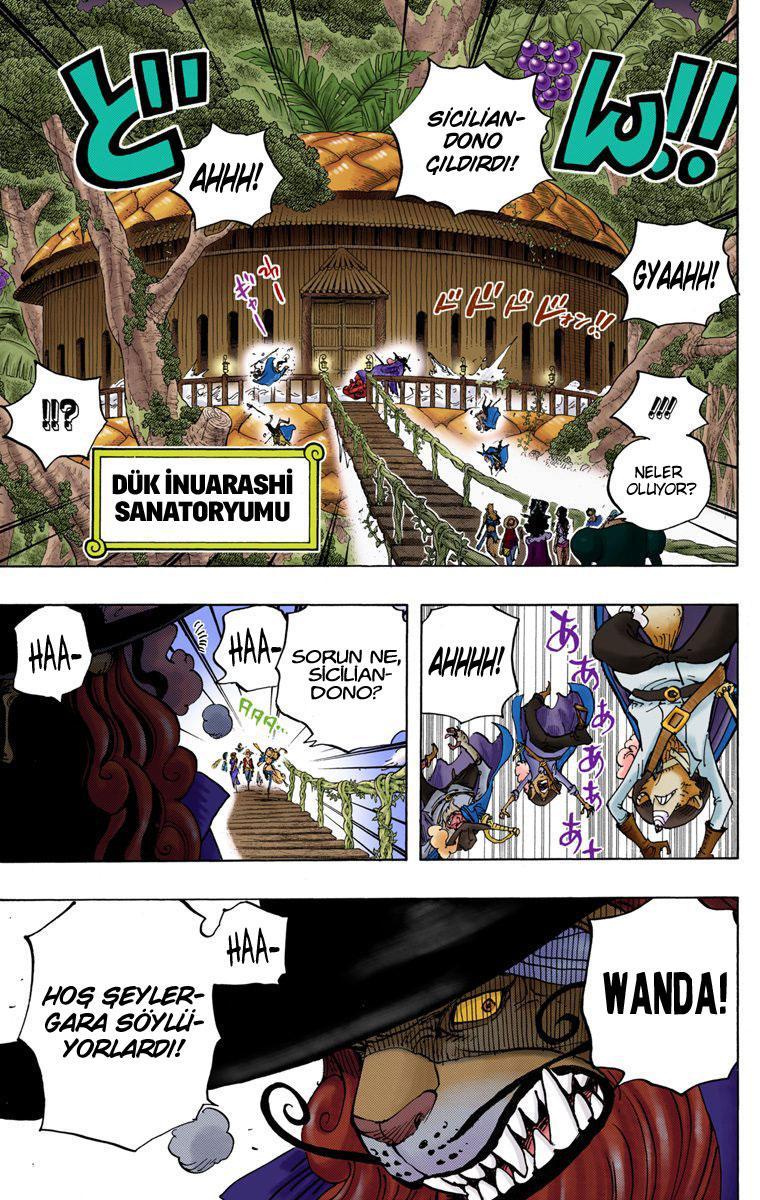 One Piece [Renkli] mangasının 808 bölümünün 13. sayfasını okuyorsunuz.