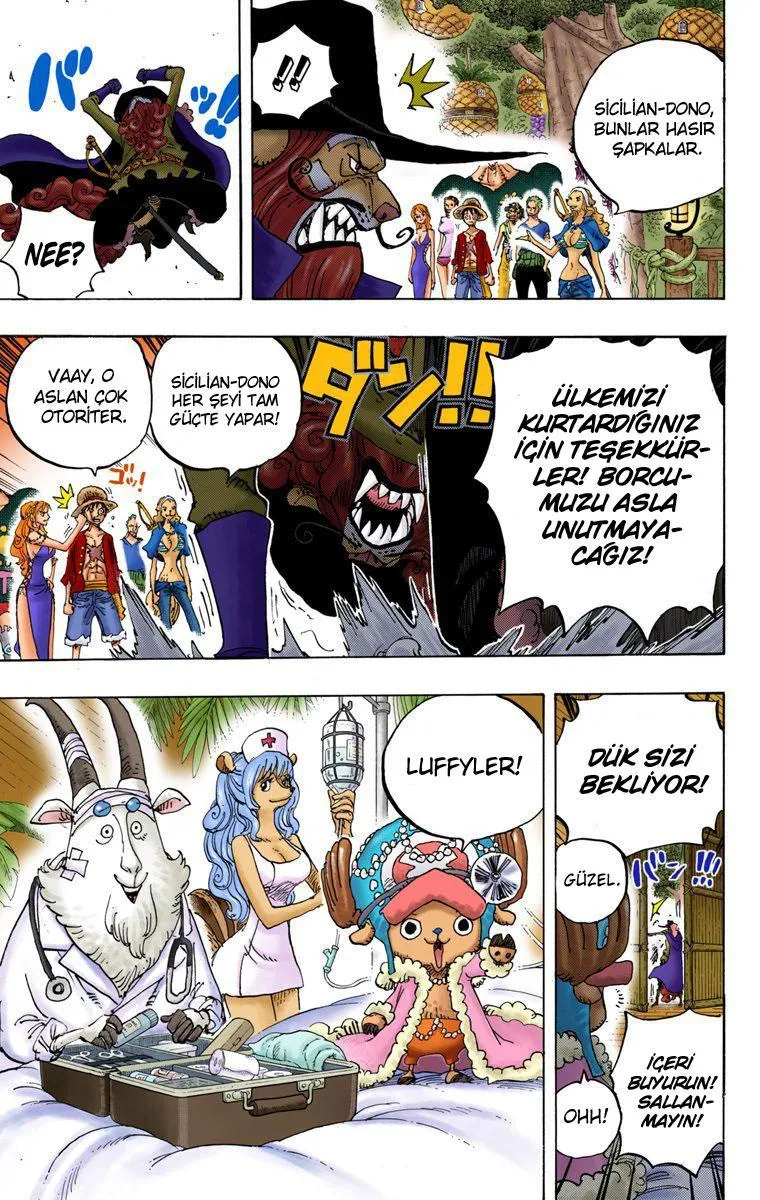 One Piece [Renkli] - Sayfa 15