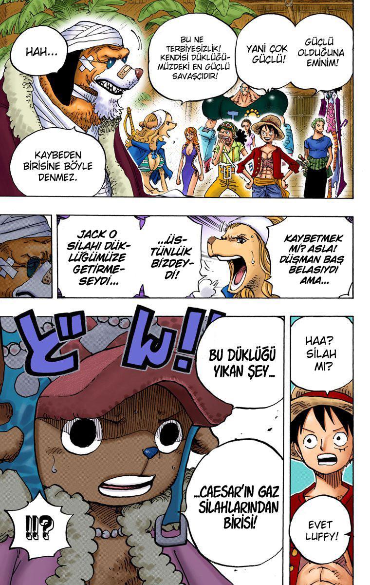 One Piece [Renkli] mangasının 808 bölümünün 17. sayfasını okuyorsunuz.