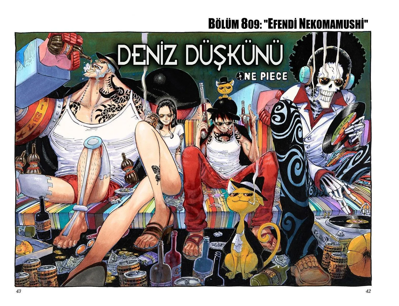 One Piece [Renkli] - Sayfa 2