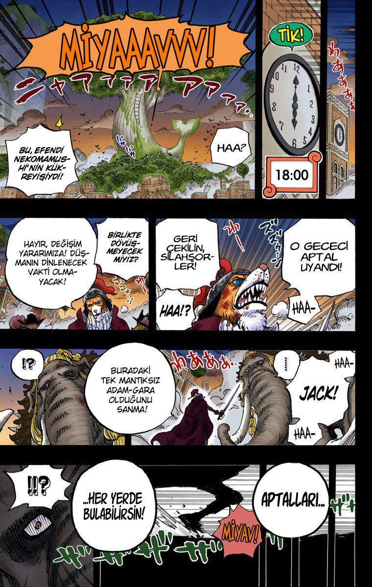 One Piece [Renkli] mangasının 809 bölümünün 14. sayfasını okuyorsunuz.