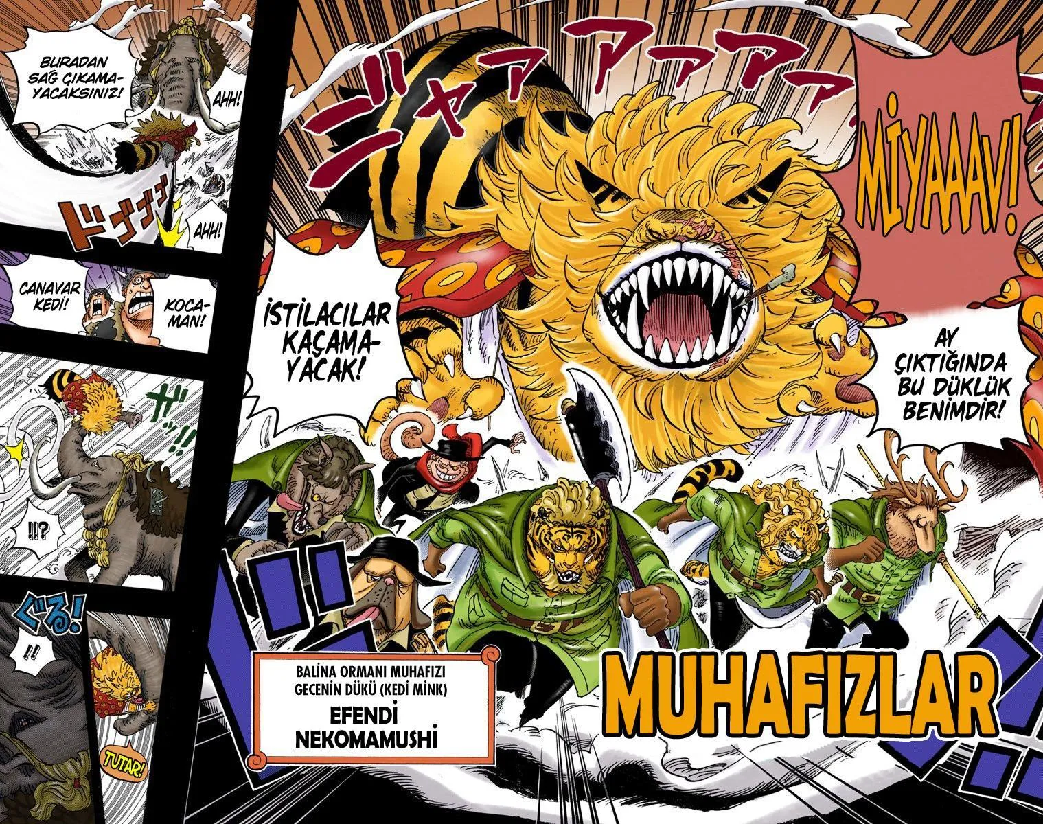 One Piece [Renkli] - Sayfa 15