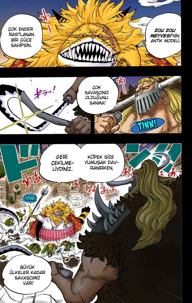 One Piece [Renkli] mangasının 810 bölümünün 4. sayfasını okuyorsunuz.