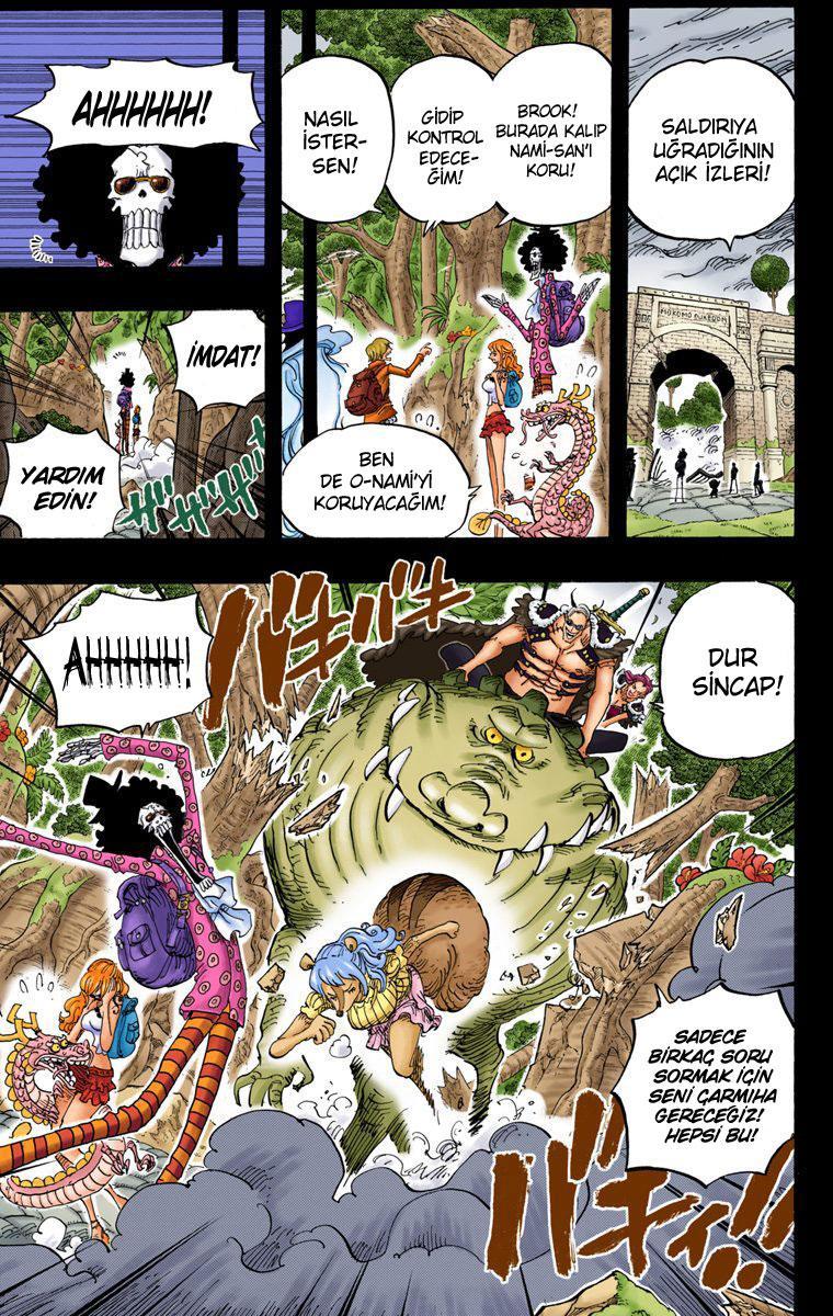 One Piece [Renkli] mangasının 810 bölümünün 14. sayfasını okuyorsunuz.