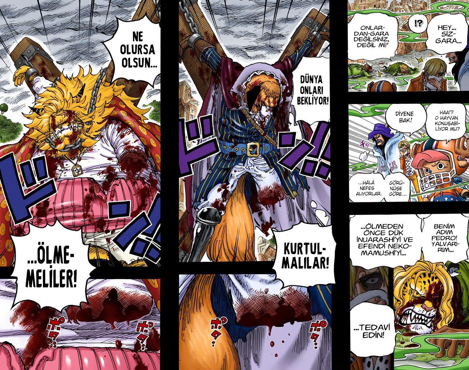 One Piece [Renkli] mangasının 810 bölümünün 17. sayfasını okuyorsunuz.