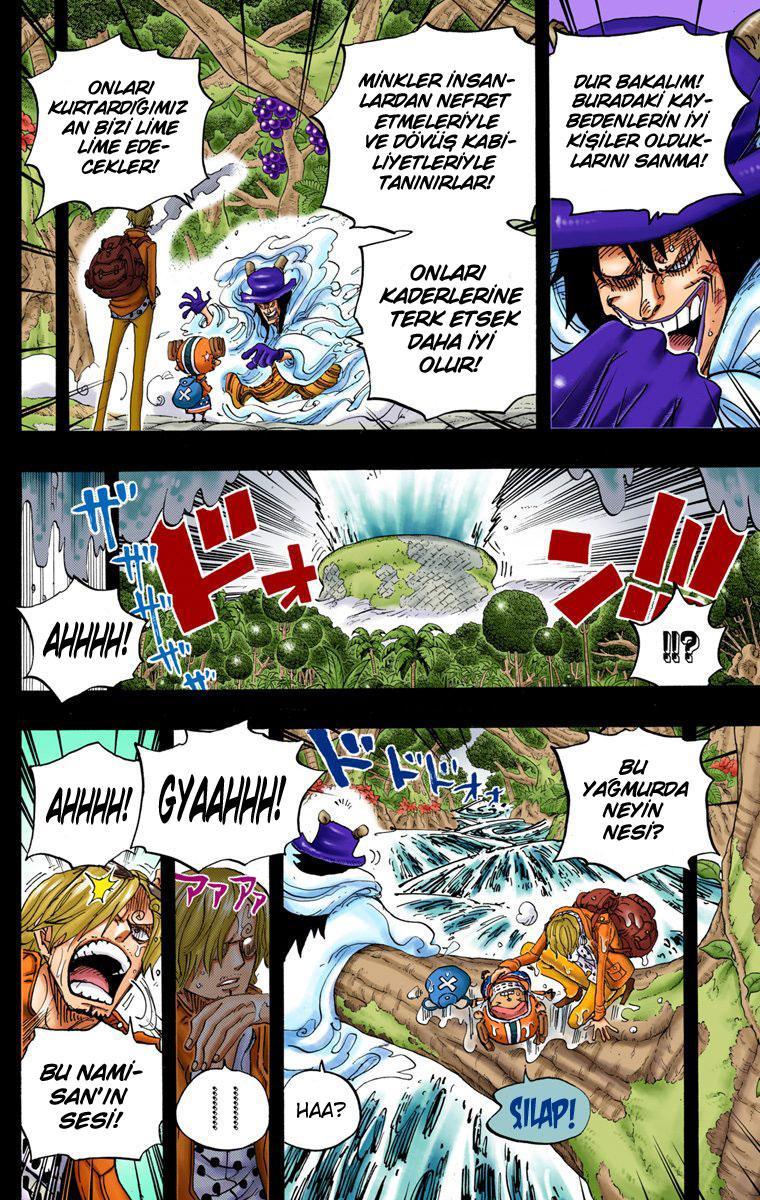 One Piece [Renkli] mangasının 811 bölümünün 4. sayfasını okuyorsunuz.