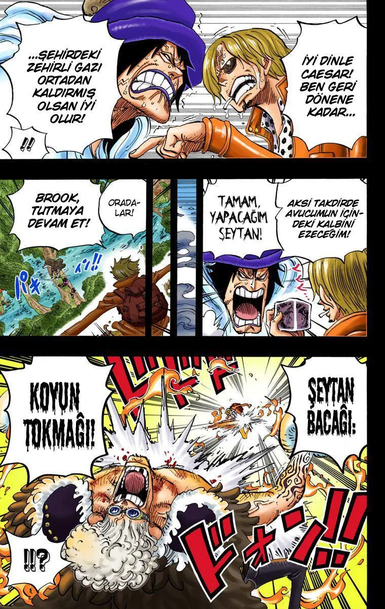 One Piece [Renkli] - Sayfa 5