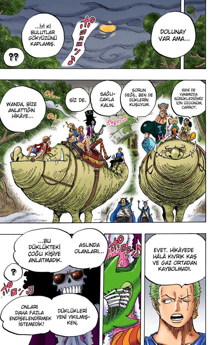 One Piece [Renkli] mangasının 811 bölümünün 17. sayfasını okuyorsunuz.