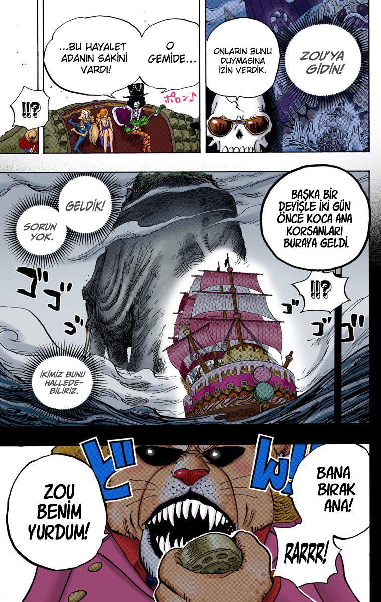 One Piece [Renkli] mangasının 811 bölümünün 19. sayfasını okuyorsunuz.