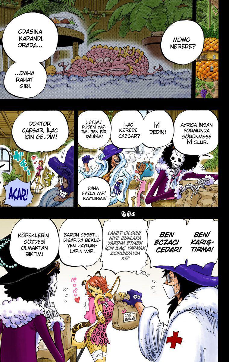 One Piece [Renkli] mangasının 812 bölümünün 6. sayfasını okuyorsunuz.