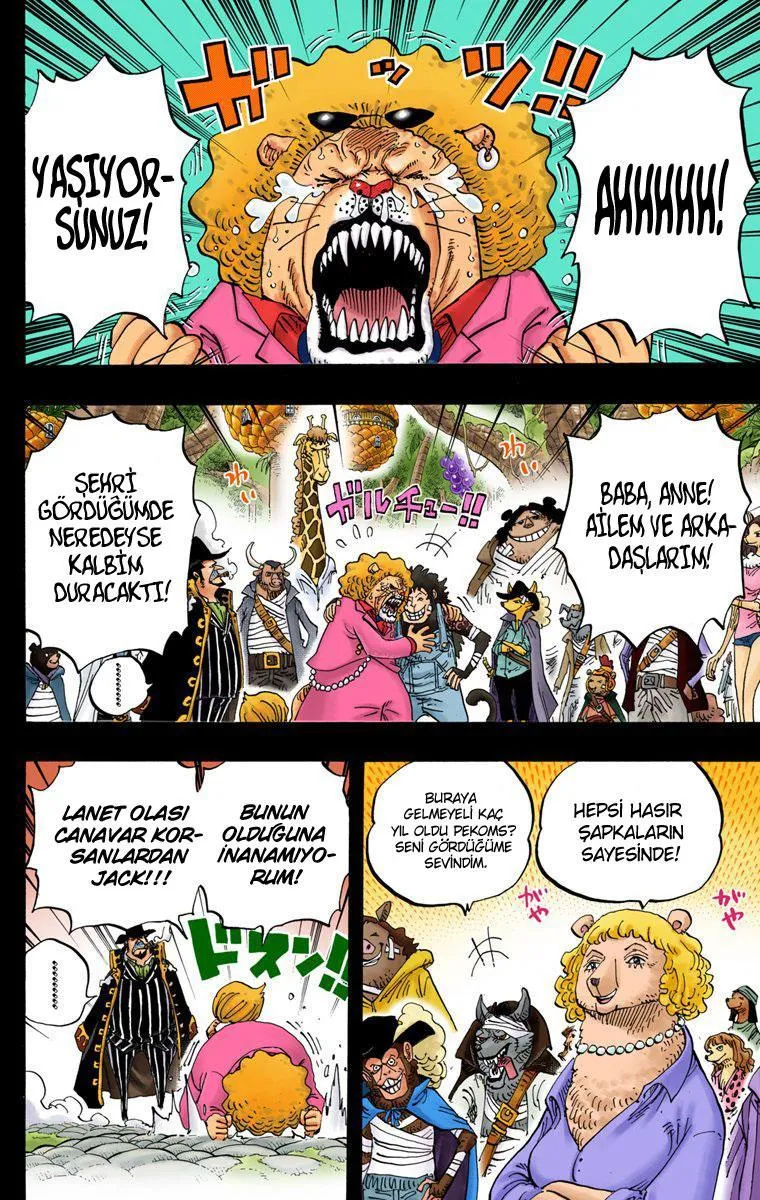 One Piece [Renkli] - Sayfa 7
