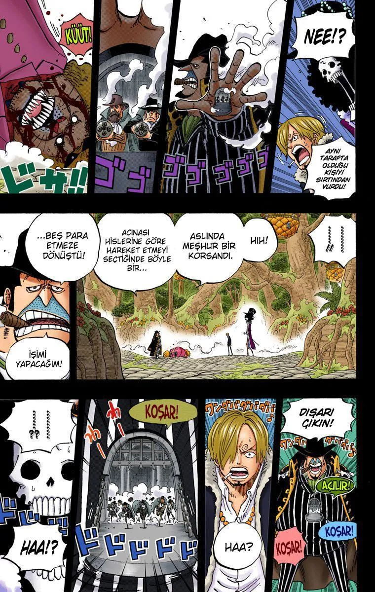 One Piece [Renkli] - Sayfa 12