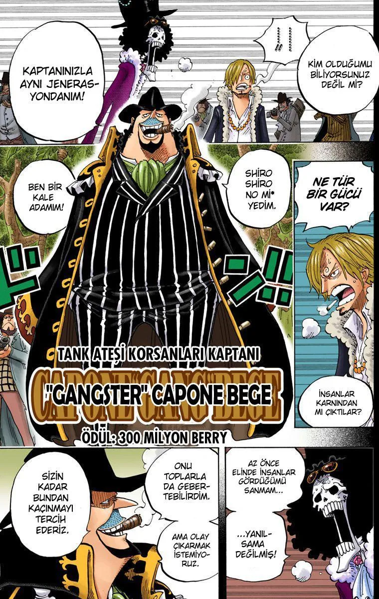 One Piece [Renkli] - Sayfa 14