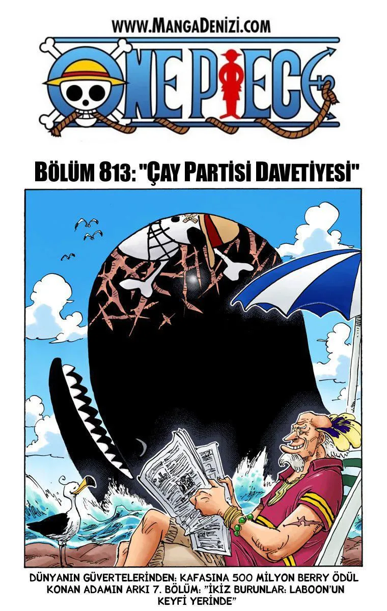 One Piece [Renkli] - Sayfa 2