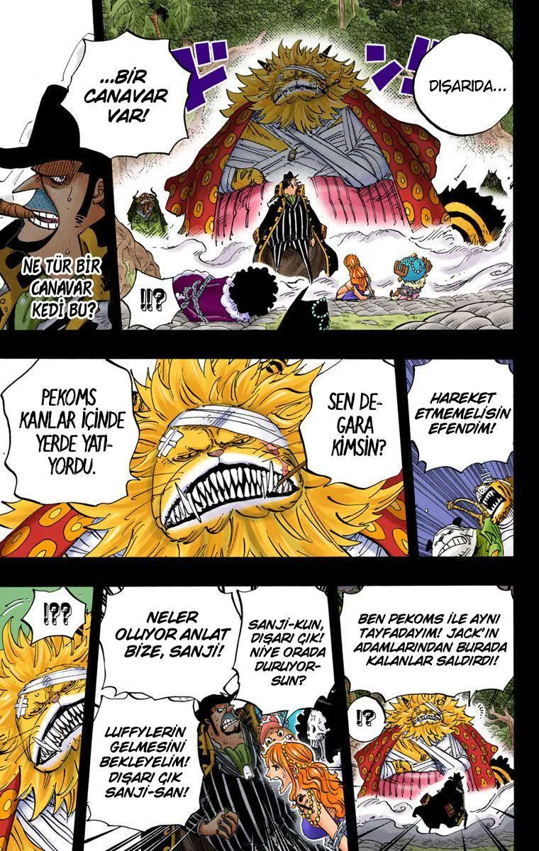One Piece [Renkli] - Sayfa 16