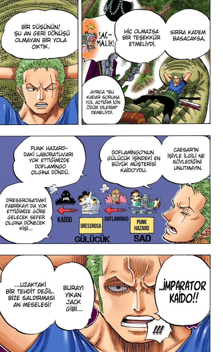 One Piece [Renkli] - Sayfa 8