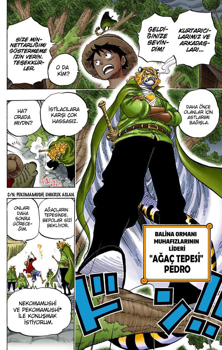 One Piece [Renkli] mangasının 814 bölümünün 12. sayfasını okuyorsunuz.