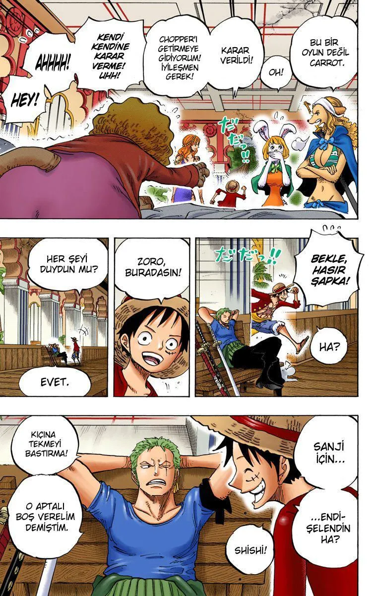 One Piece [Renkli] - Sayfa 10