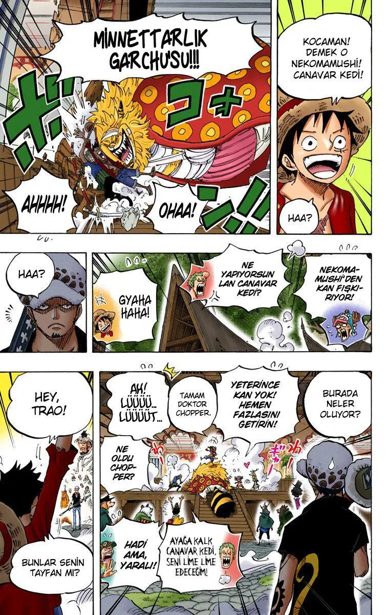 One Piece [Renkli] - Sayfa 12