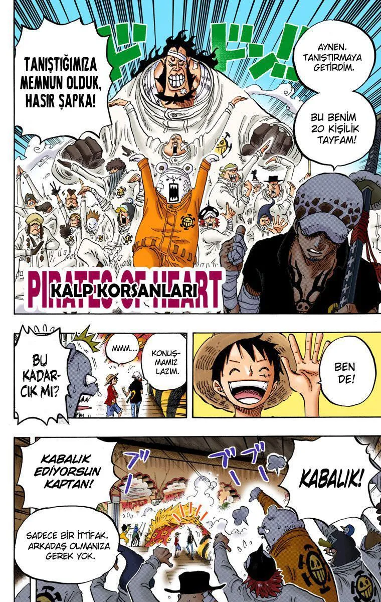 One Piece [Renkli] - Sayfa 13