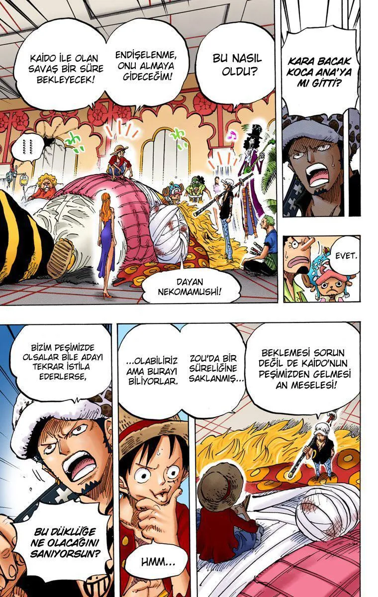 One Piece [Renkli] - Sayfa 14
