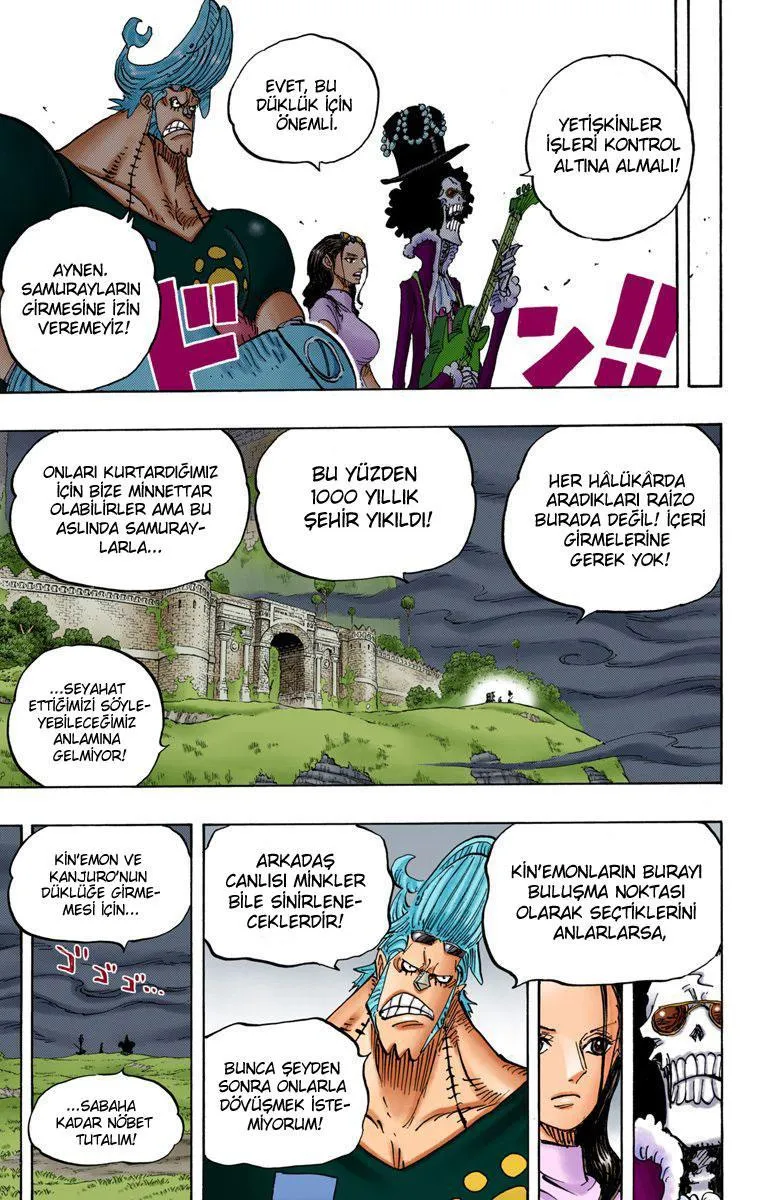 One Piece [Renkli] - Sayfa 16