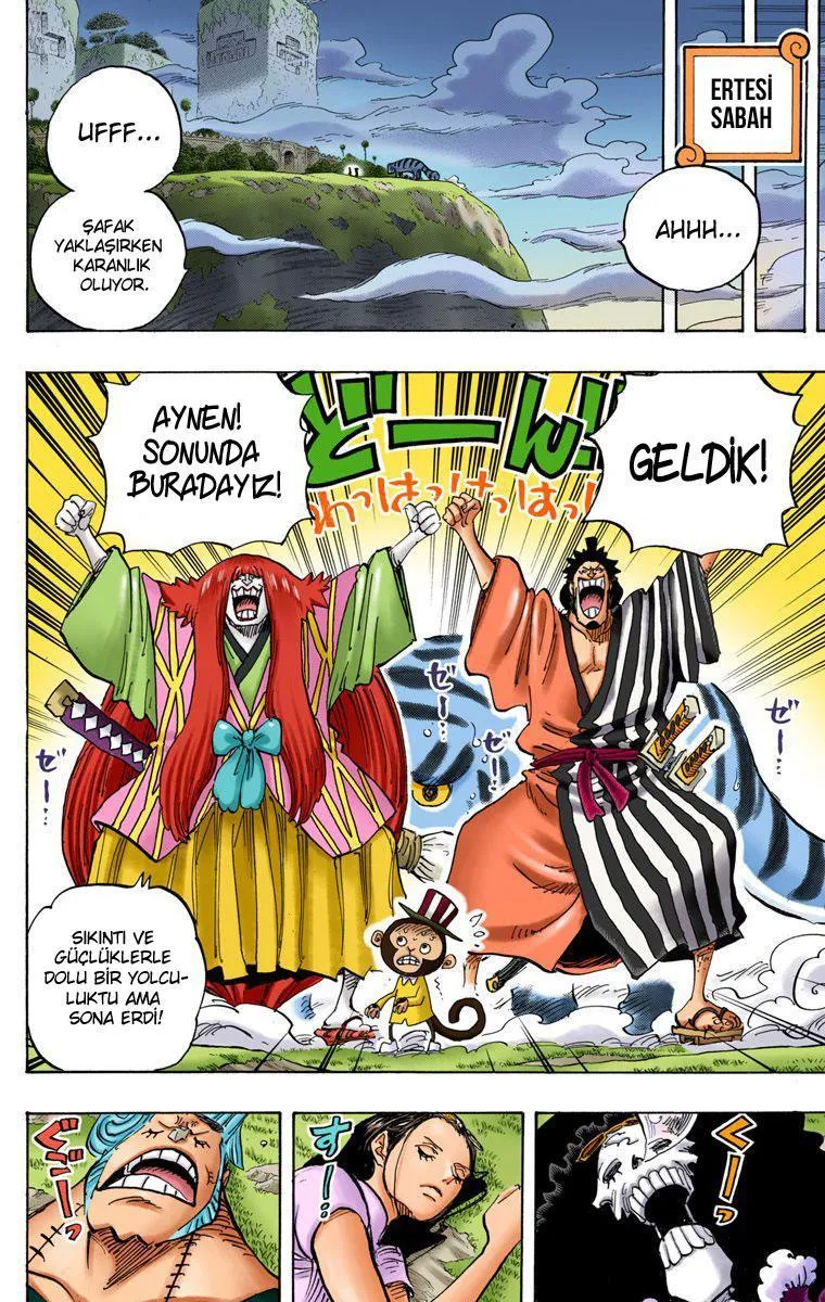 One Piece [Renkli] - Sayfa 17