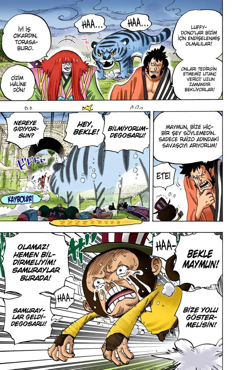 One Piece [Renkli] - Sayfa 18