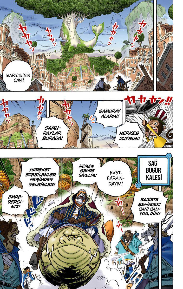 One Piece [Renkli] mangasının 816 bölümünün 4. sayfasını okuyorsunuz.
