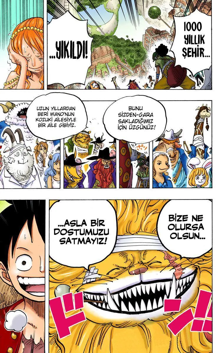 One Piece [Renkli] - Sayfa 17