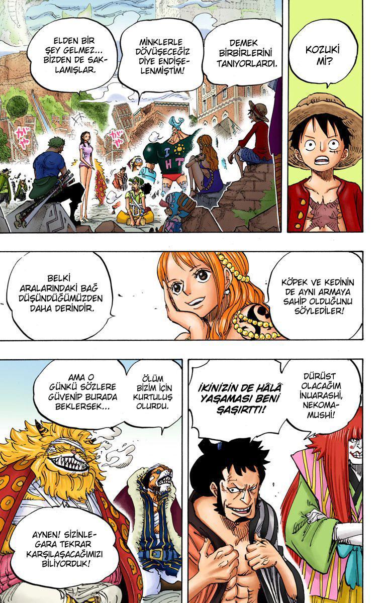 One Piece [Renkli] mangasının 817 bölümünün 4. sayfasını okuyorsunuz.