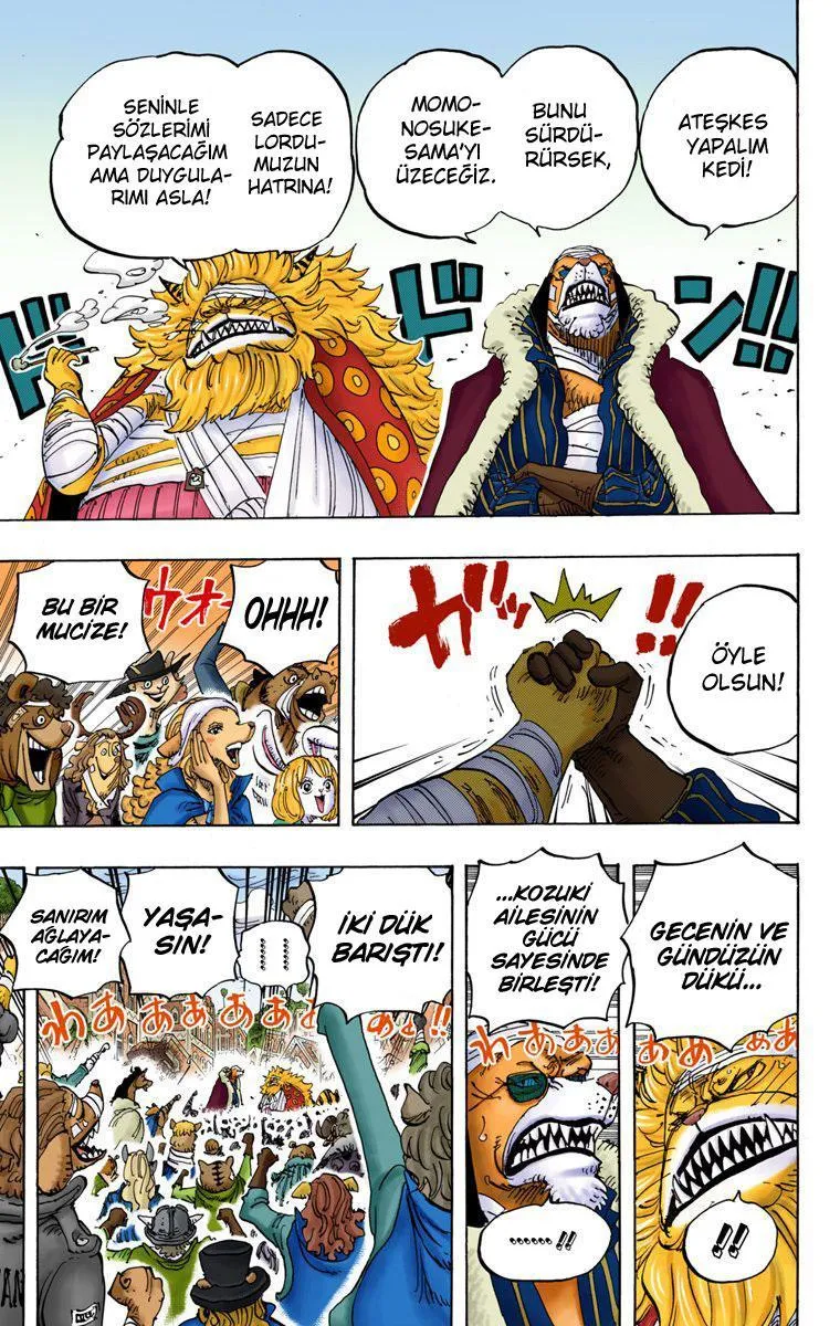 One Piece [Renkli] - Sayfa 10