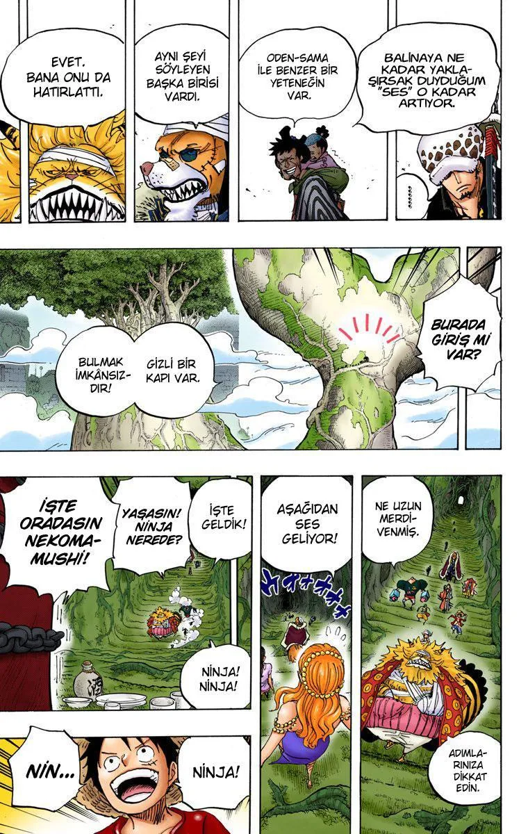 One Piece [Renkli] - Sayfa 12