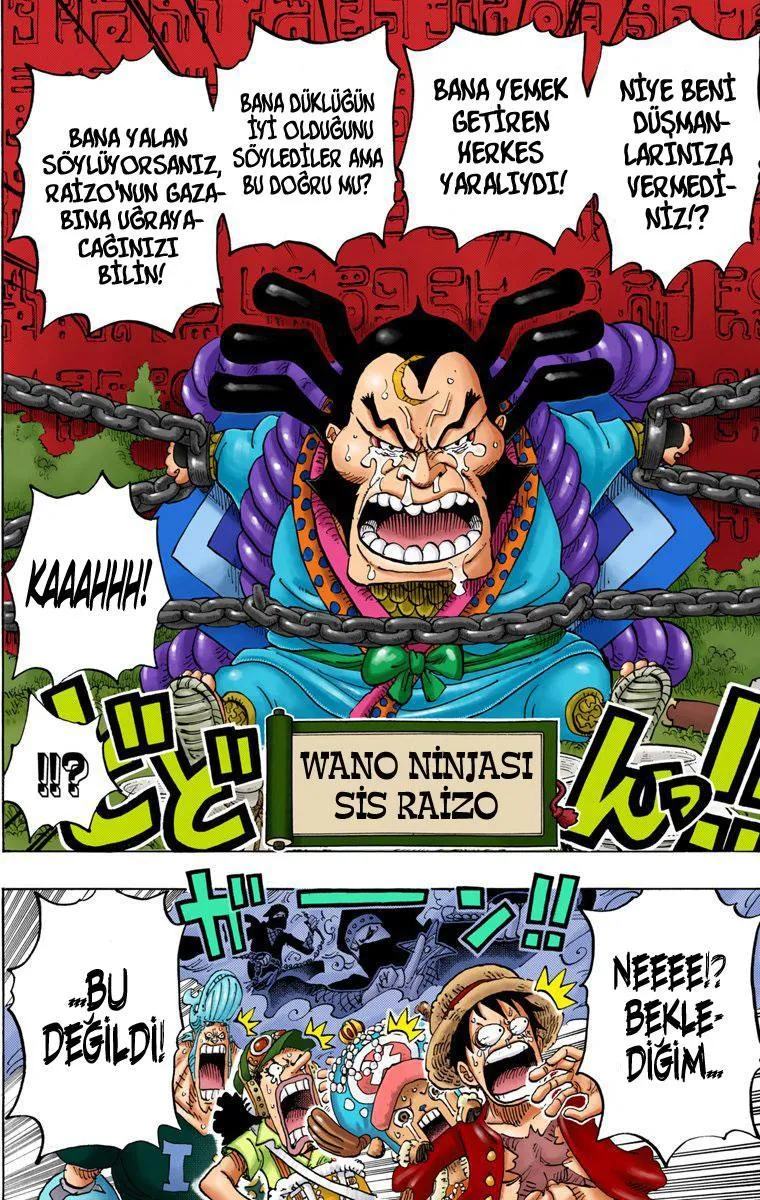 One Piece [Renkli] - Sayfa 13