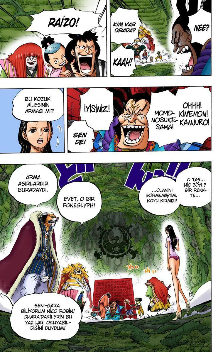 One Piece [Renkli] - Sayfa 14