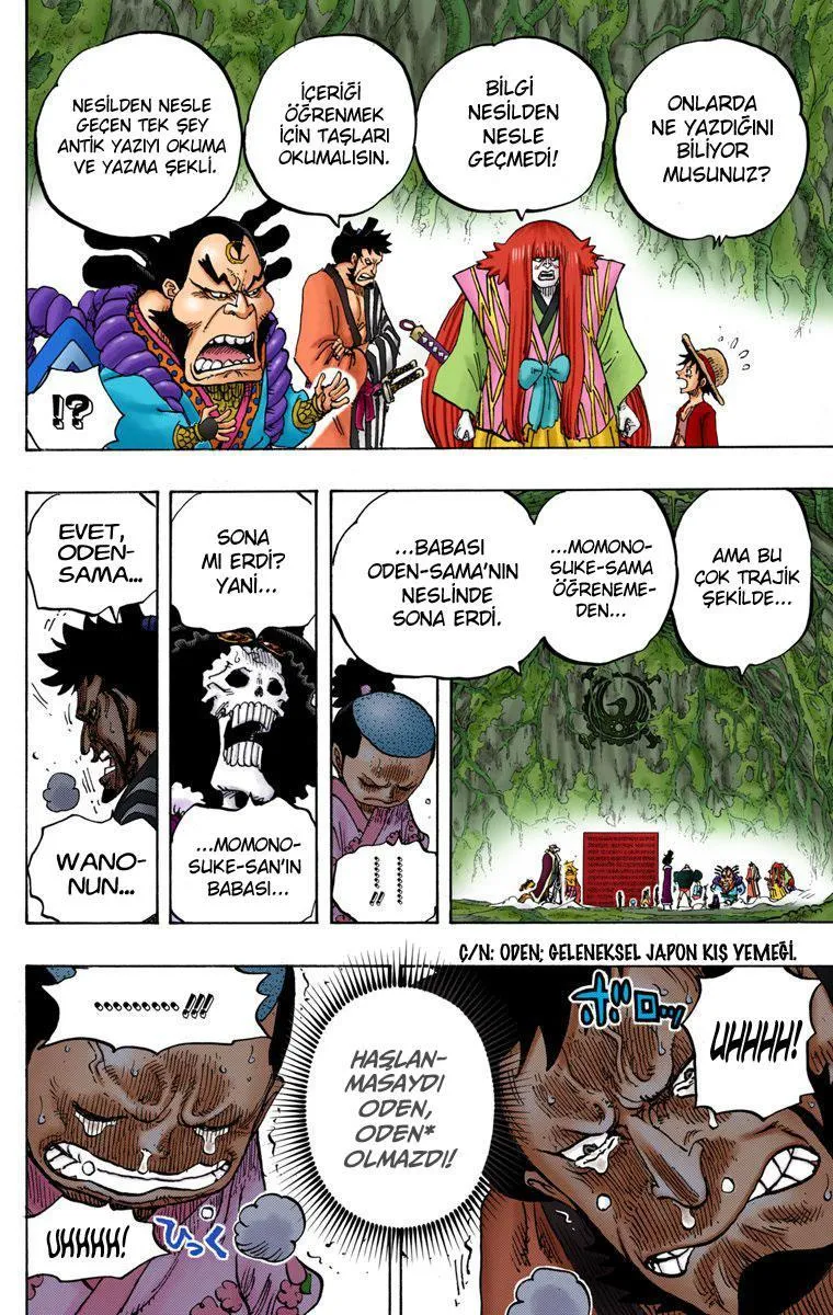 One Piece [Renkli] - Sayfa 13