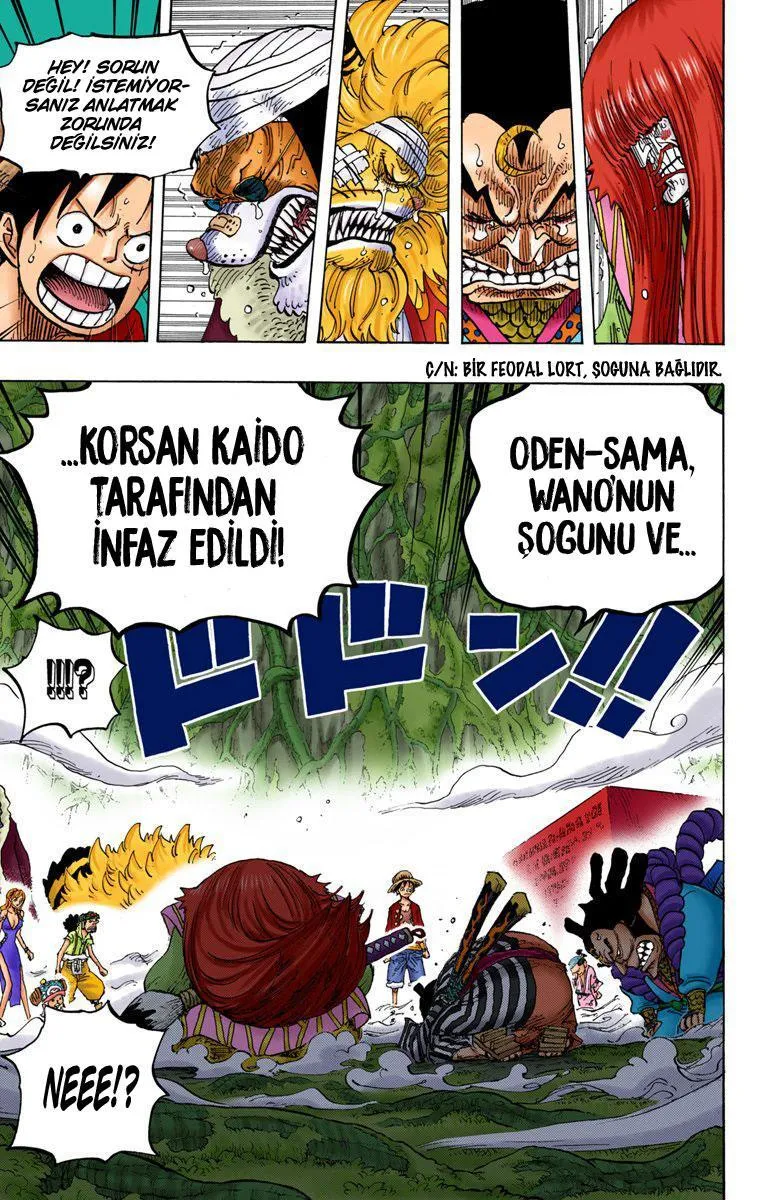 One Piece [Renkli] - Sayfa 14