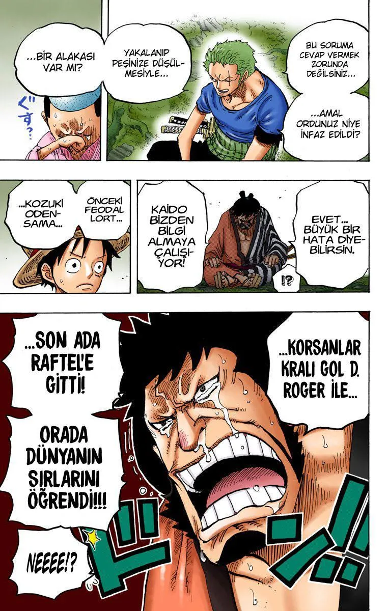 One Piece [Renkli] - Bölüm 0818 - Sayfa 16