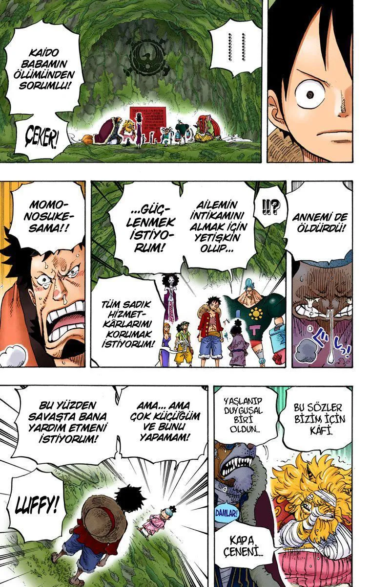 One Piece [Renkli] - Sayfa 12