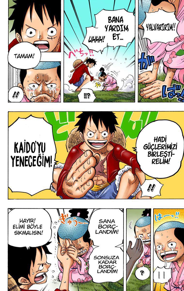 One Piece [Renkli] mangasının 819 bölümünün 13. sayfasını okuyorsunuz.