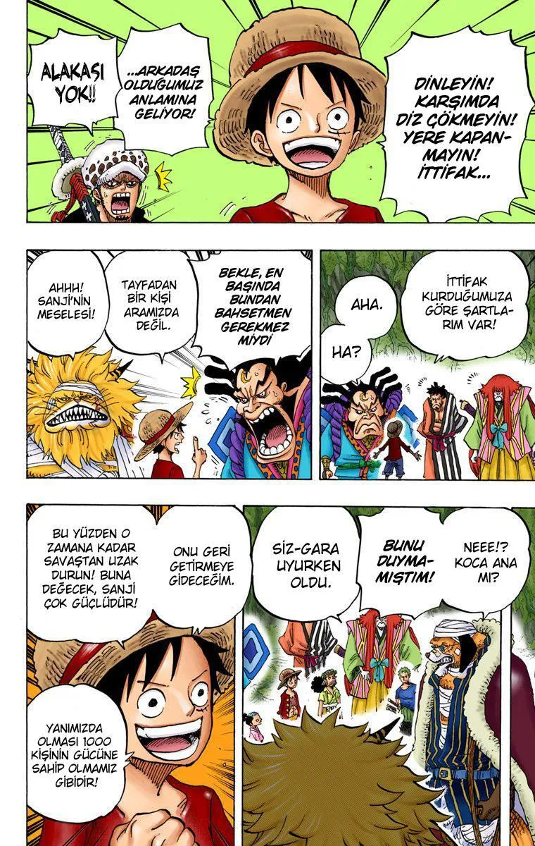 One Piece [Renkli] - Sayfa 15