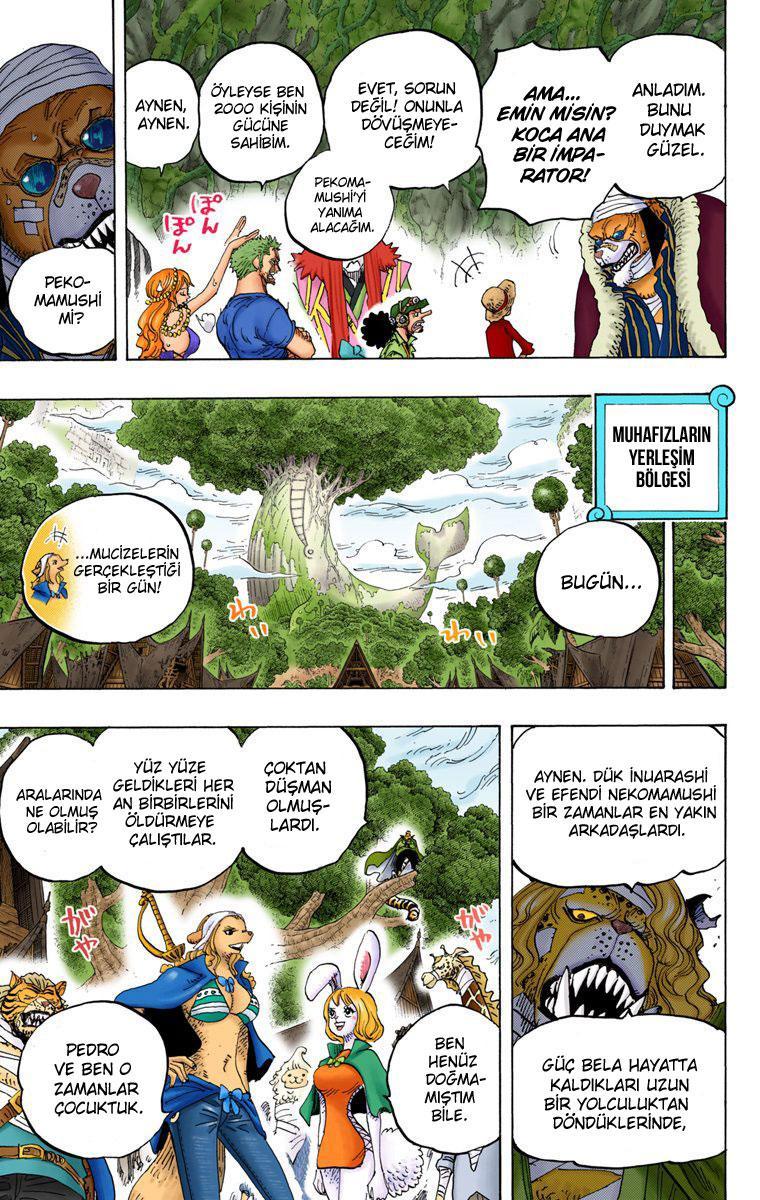 One Piece [Renkli] mangasının 819 bölümünün 16. sayfasını okuyorsunuz.