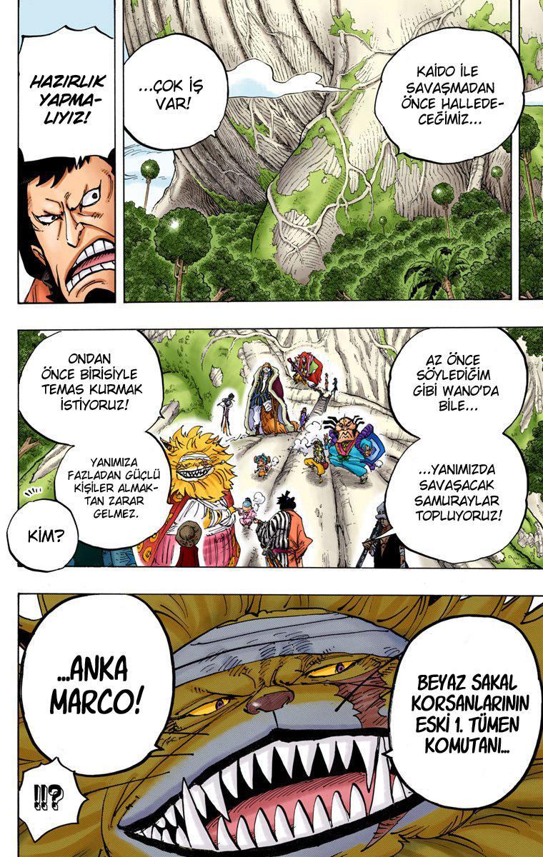 One Piece [Renkli] mangasının 820 bölümünün 11. sayfasını okuyorsunuz.