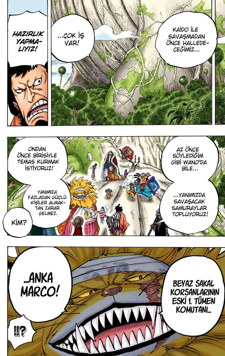 One Piece [Renkli] - Sayfa 11