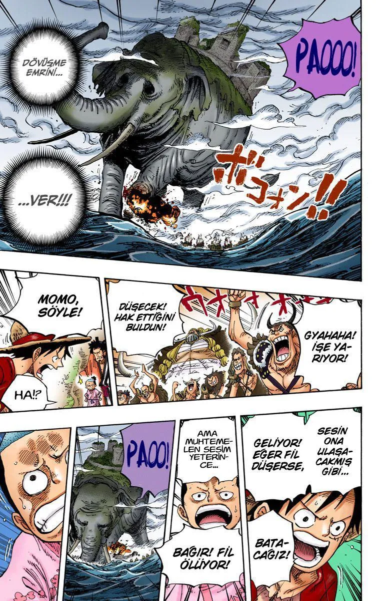 One Piece [Renkli] - Sayfa 11